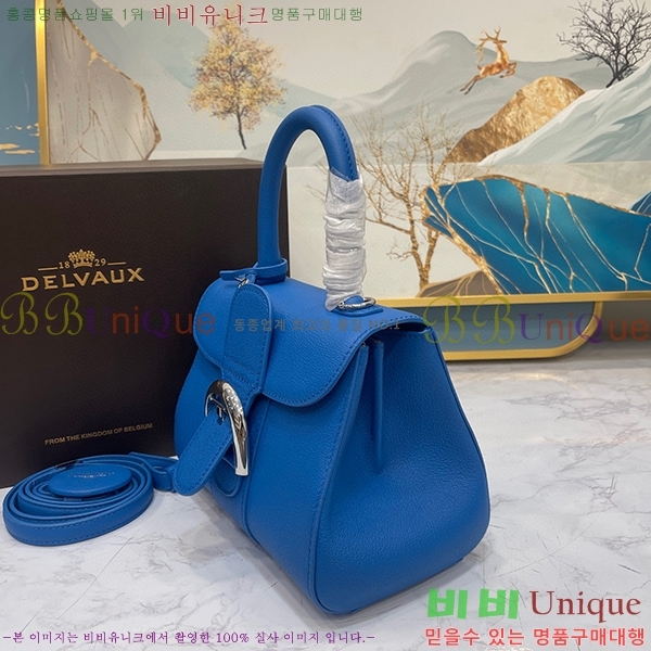 #���� �긮�ӹ� �̴� DV0020-1