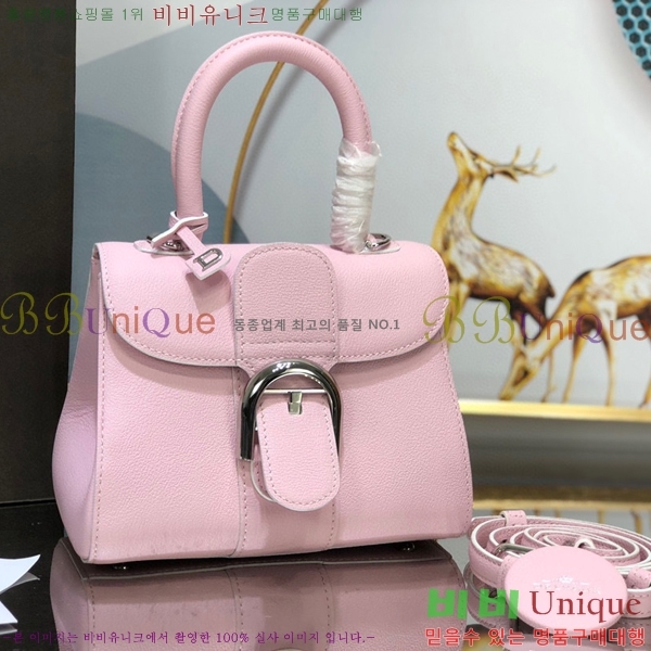 #���� �긮�ӹ� �̴� DV0020-12