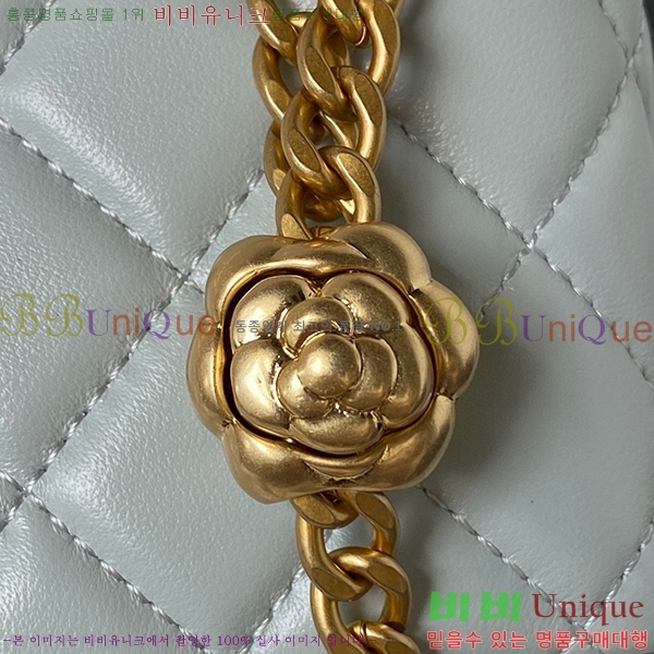 #���� ī�Ḯ�� ��庼 ü�� ���簢 ����Ƽ �� AP3301-533