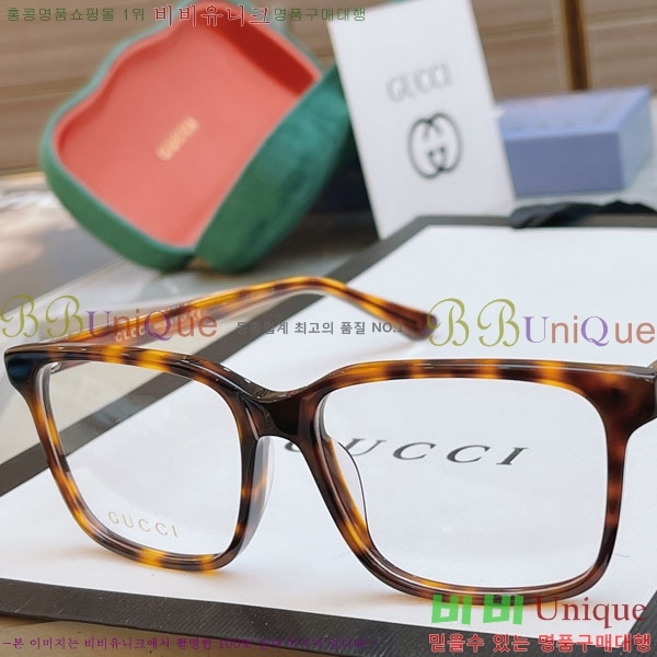 ���� �Ȱ� N13254-1