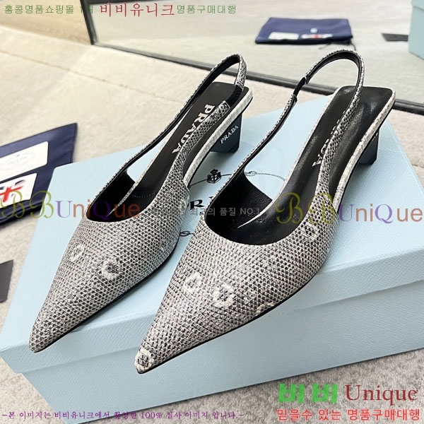 ����� ������ P4110016-2