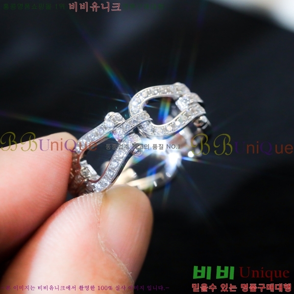 ������ ���� FR100236-1