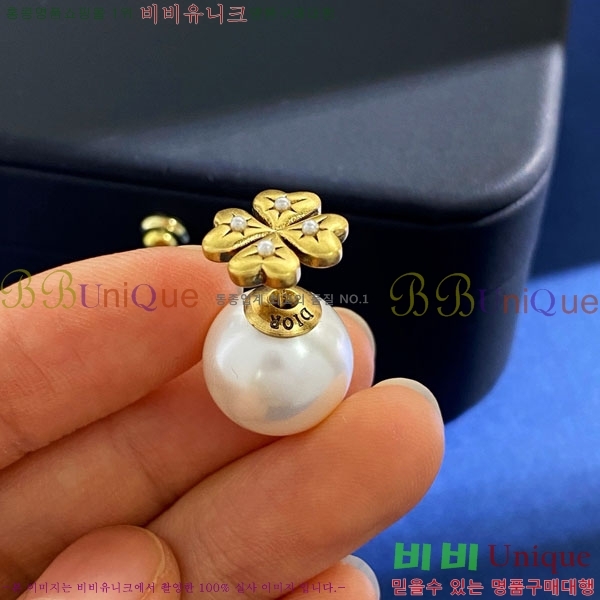 ��� Tribales �Ͱ��� D55O991-2 (2��)