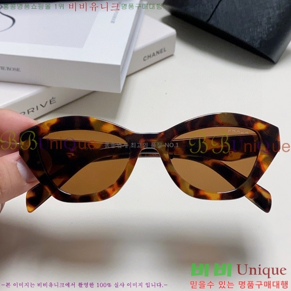 ����� ���۶� P2819066-2