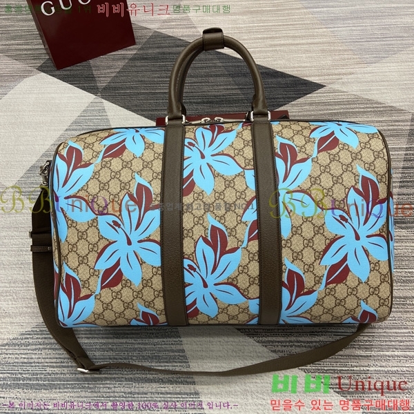 #���� GG ������ �̵�� ������ ‎792074-1