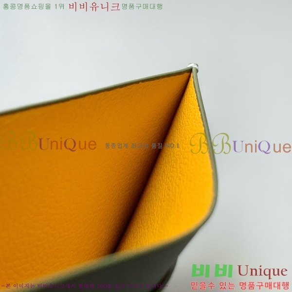 #���ߵ� �����ǽ� ī������ �������� GY3301-101