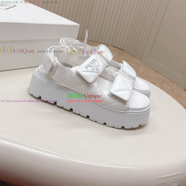 ���� ����� ���� 31P255244-2