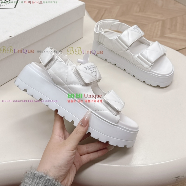 ���� ����� ���� 31P255244-2