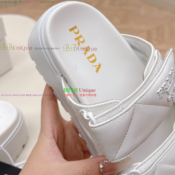 ���� ����� ���� 31P255244-4