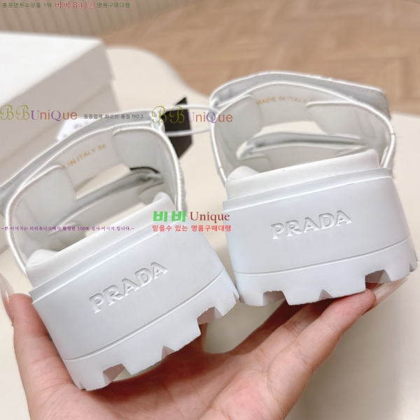 ���� ����� ���� 31P255244-4