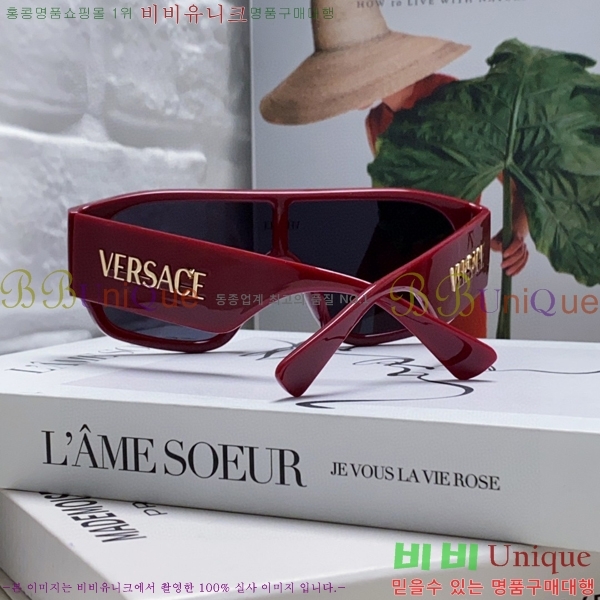 ������ü ���۶� VE102296-2