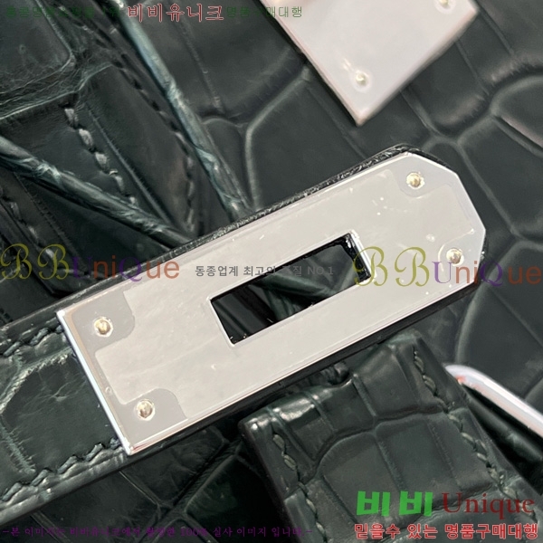 #�����޽� ��Ų�� 30 hcp moreletii crocodile 36HE856622-1002