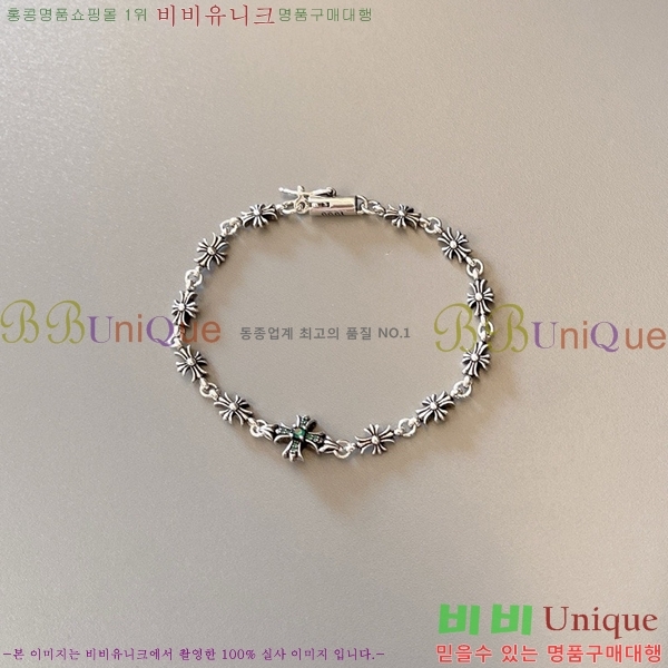 �������� ũ������ ���� CHS1099-9