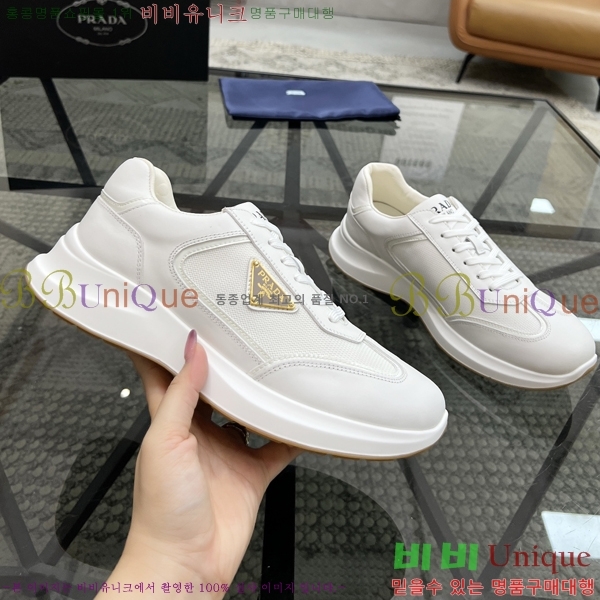 ���� ����� ������ P018493-6