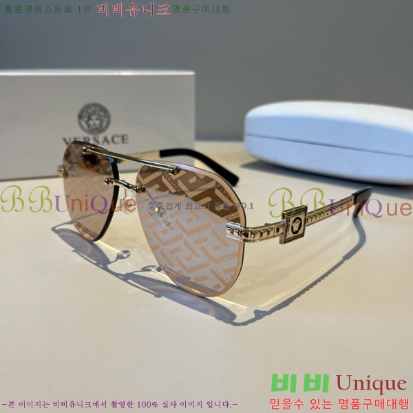 ������ü ���۶� VE102298-1