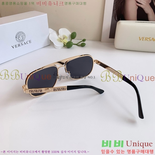 ������ü ���۶� VE102297-2