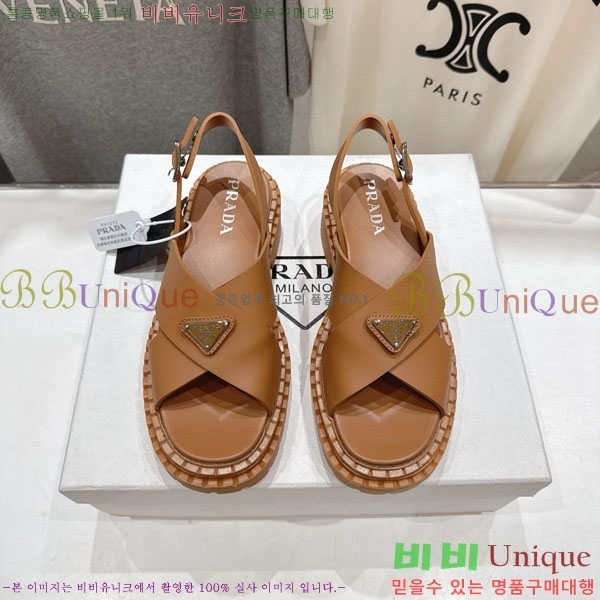 ���� ����� ���� 1P2500666