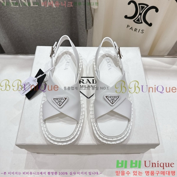 ���� ����� ���� 1P2500666-2