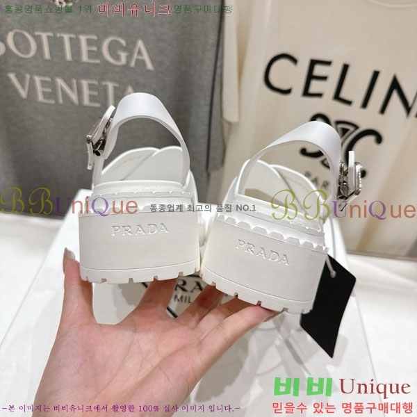 ���� ����� ���� 1P2500666-2