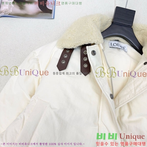 ���� �ο��� �ٿ� �е� LOEWE231230-3