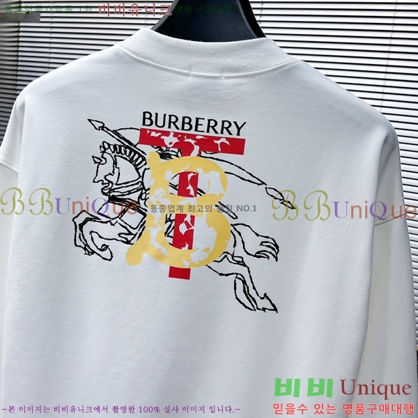 ���� ������ ������ B89869