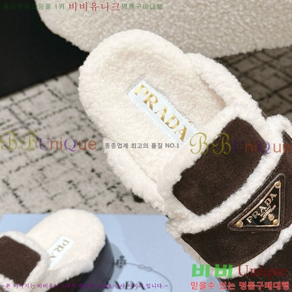 ���� ����� �� ������ P5560221