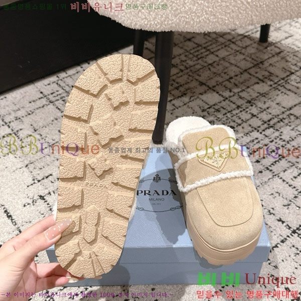 ���� ����� �� ������ P5560221-4