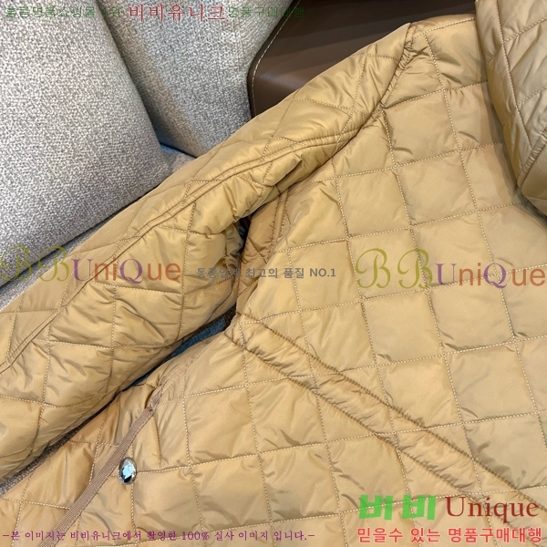 ���� ������ �ٿ� �е� BU2536219-1