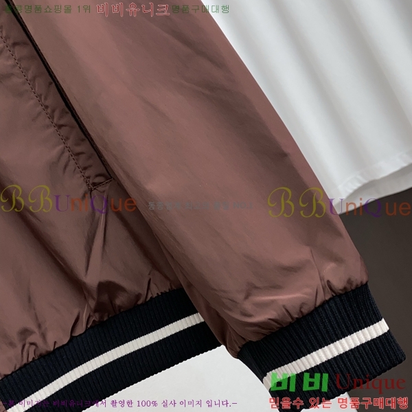 ���� ���װ�����Ÿ ���� BV132353