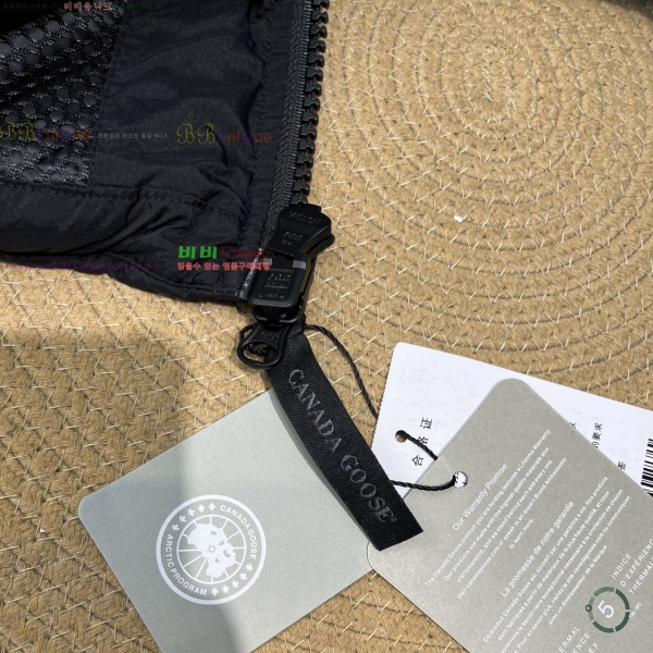 ���� ĳ��**�� Lawrence �ٿ� �е� 42CA2510305-1 ����