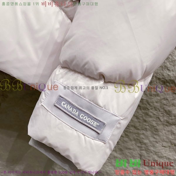 ���� ĳ���ٱ��� �ٿ� �е� CG265367-2