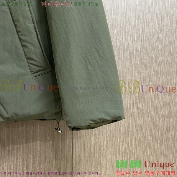 ���� ���װ�����Ÿ �е� ���� BV255155