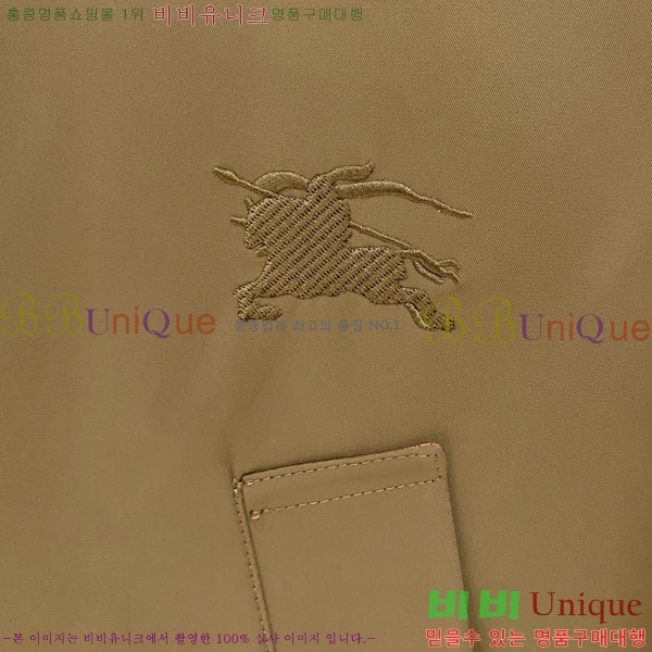 ���� ������ �е� ���� BU256281-1