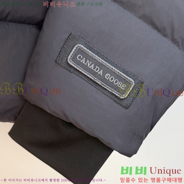 �������� ĳ���ٱ��� �ٿ� �е� CAG215558-2