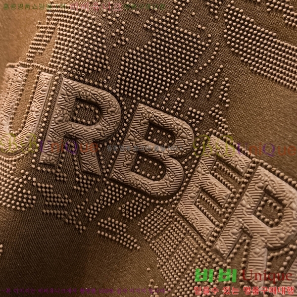 ���� ������ ������ B8452743-2