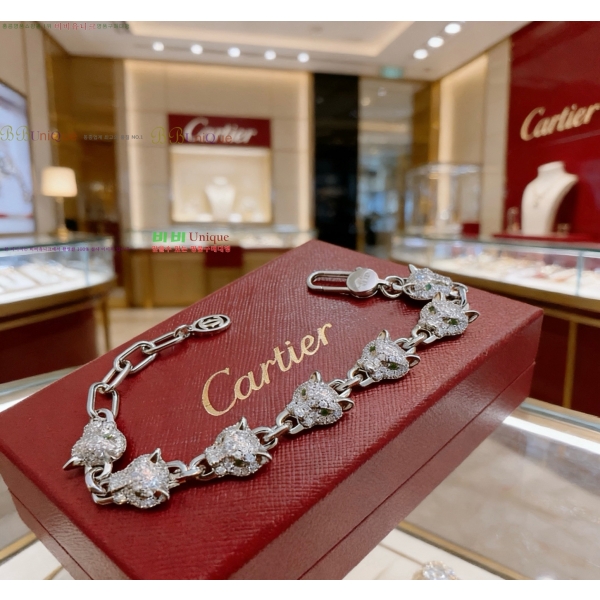 �������� ��쿡 ���� CA3434507-5