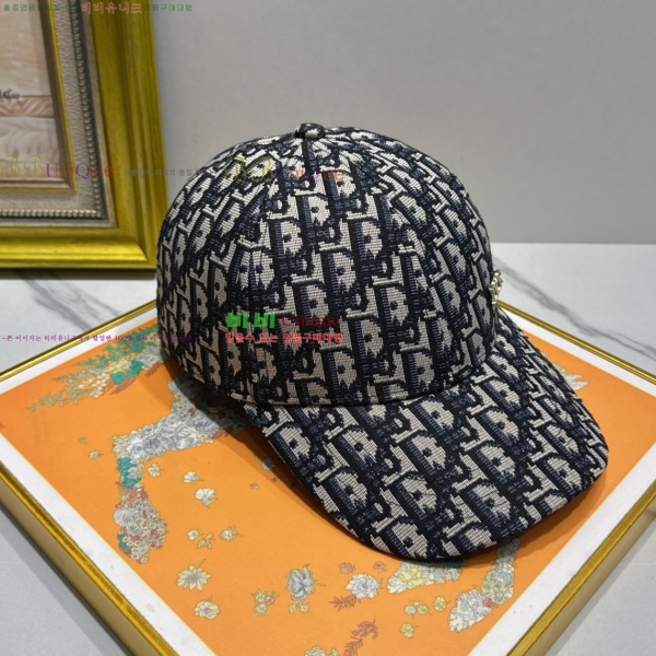 ��� ���� ��ĸ DR2631893-1 ����