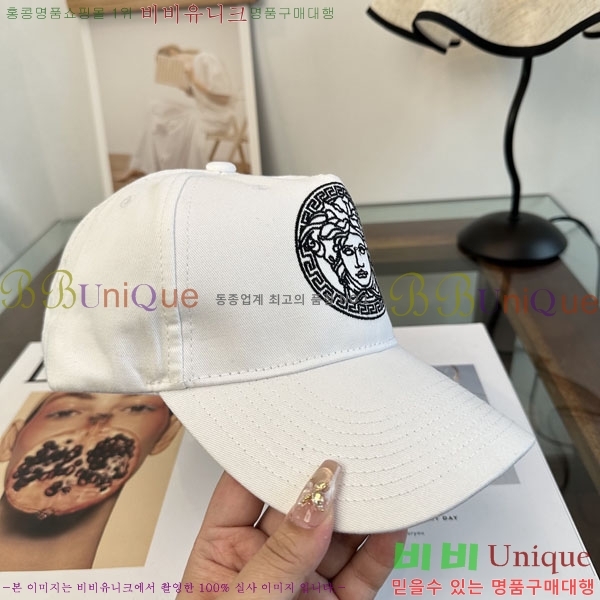 ����*ü ���� V86421-2