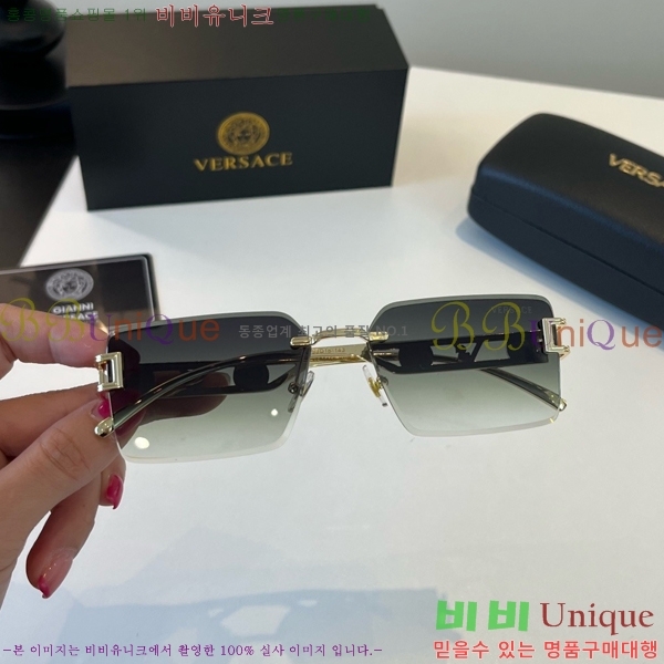 ������ü ���۶� PA253832
