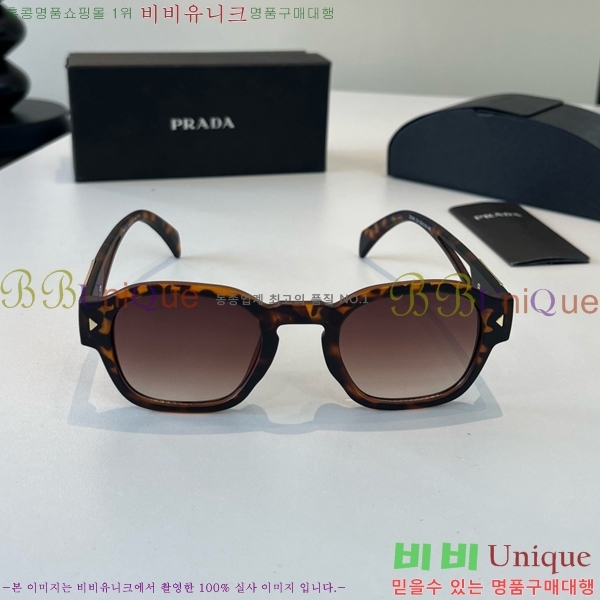 ����� ���۶� PA253831