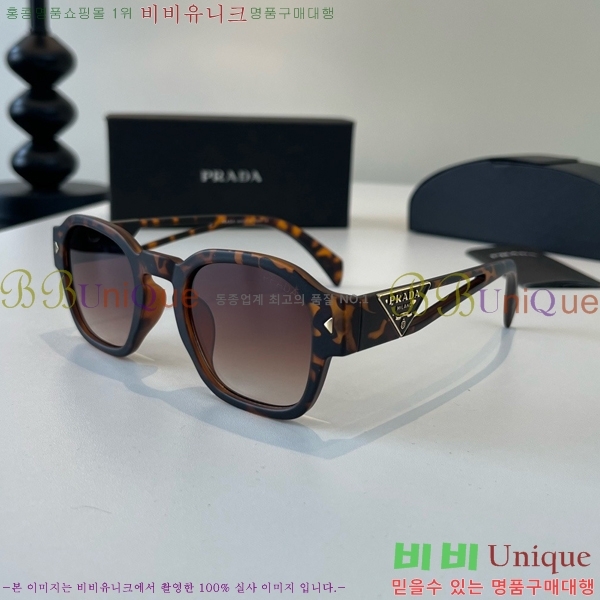 ����� ���۶� PA253831
