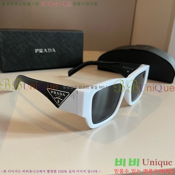 ����� ���۶� PA253829