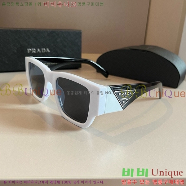 ����� ���۶� PA253829