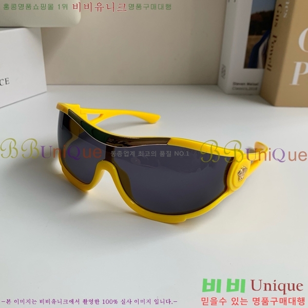 ������ü ���۶� PA253847