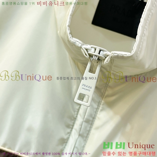 ���� ����� ��Ŷ PA246718