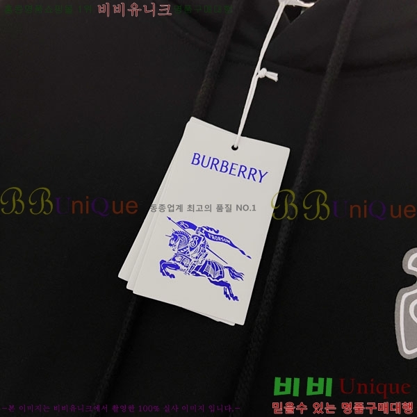 ���� ������ �ĵ�Ƽ BU385173-2