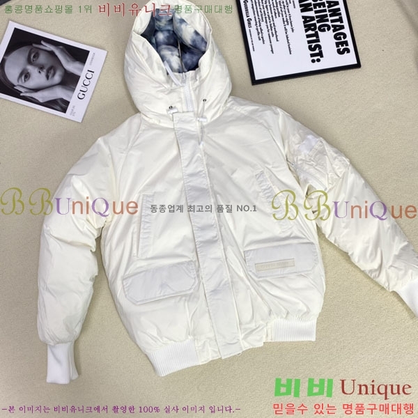 ���� ĳ���ٱ��� �ٿ� �е� CAG15736-2